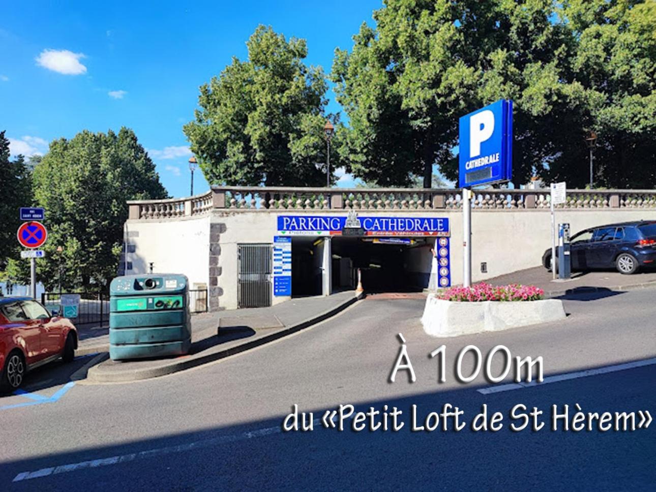 Appartement Le Petit Loft De Saint Herem *